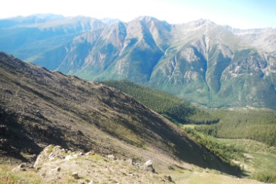 view above tree line